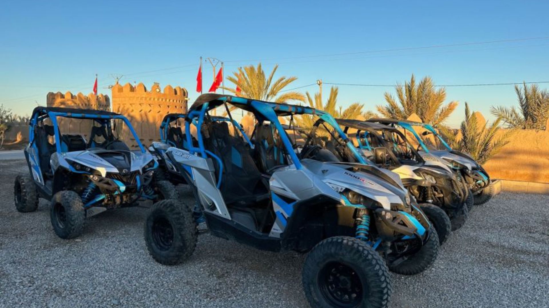 buggy activity