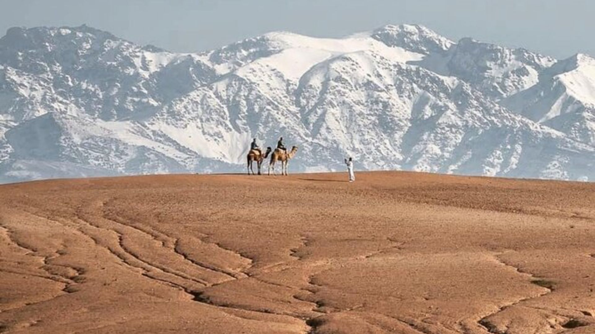 Agafay Desert Camel Riding Experience: 1-Hour Adventure from Marrakech