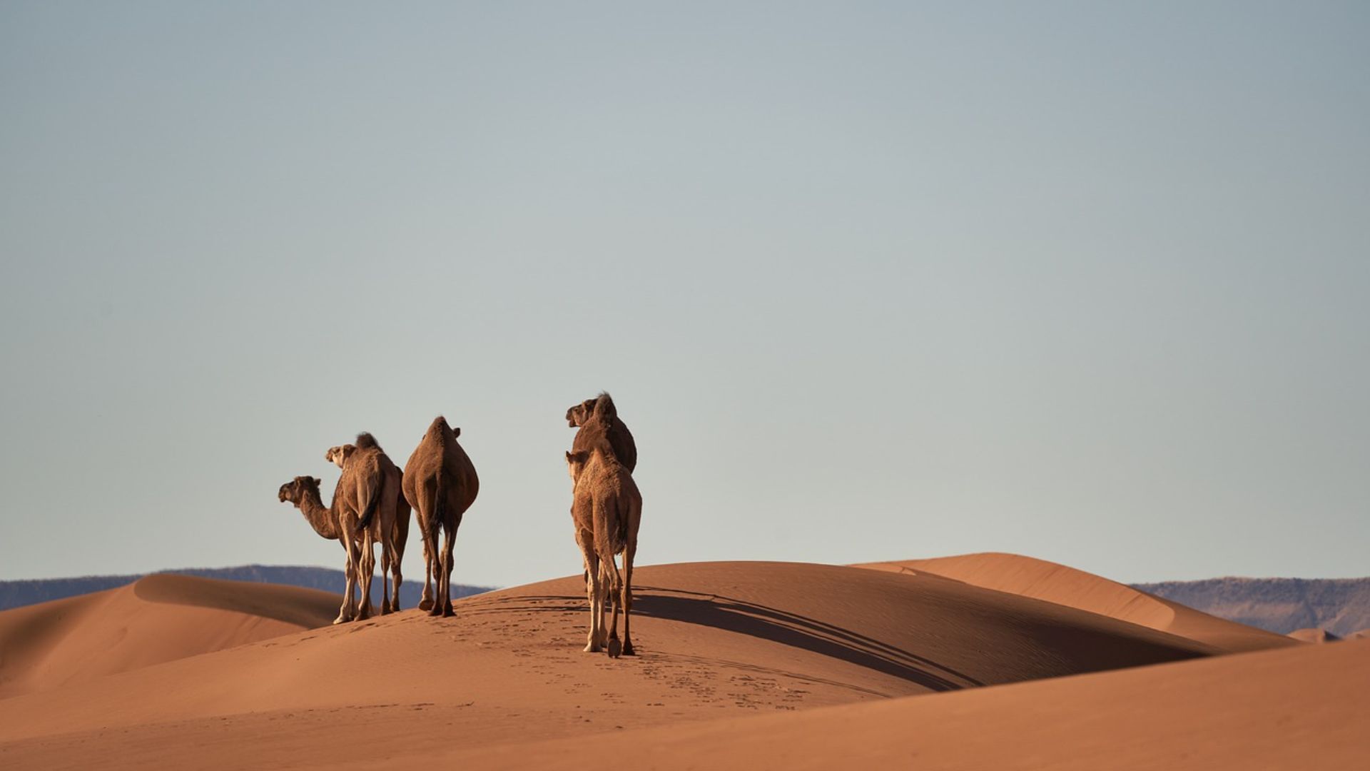 Merzouga Desert Tour from Marrakech: 3-Day Sahara Adventure