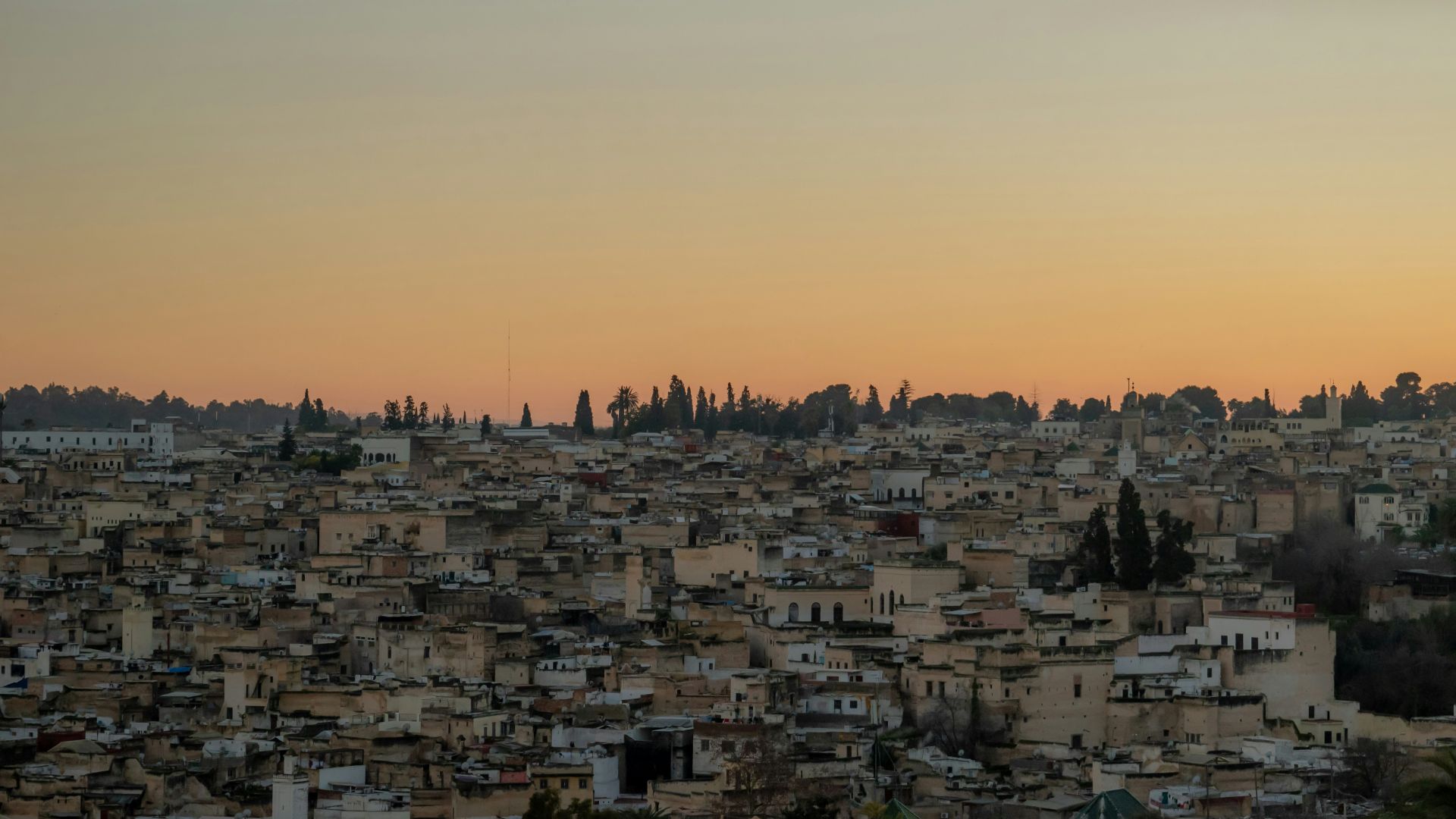 fes