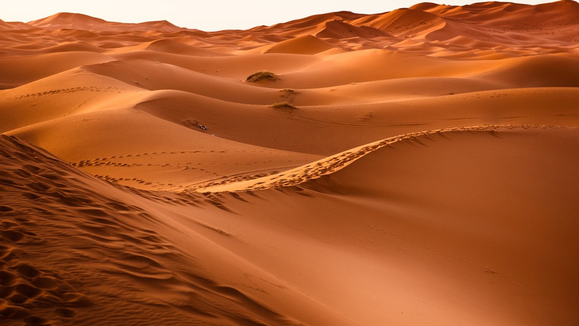 moroccan desert