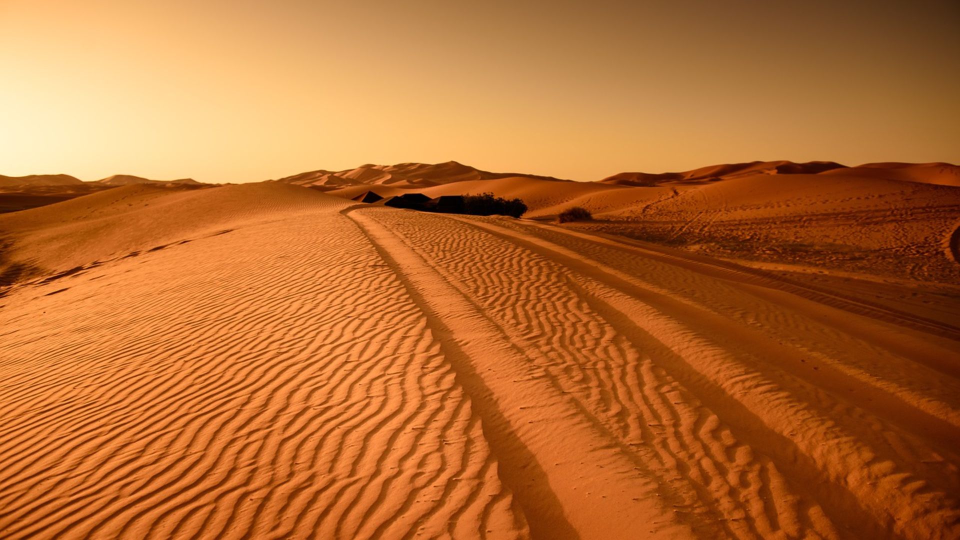 zagrora desert