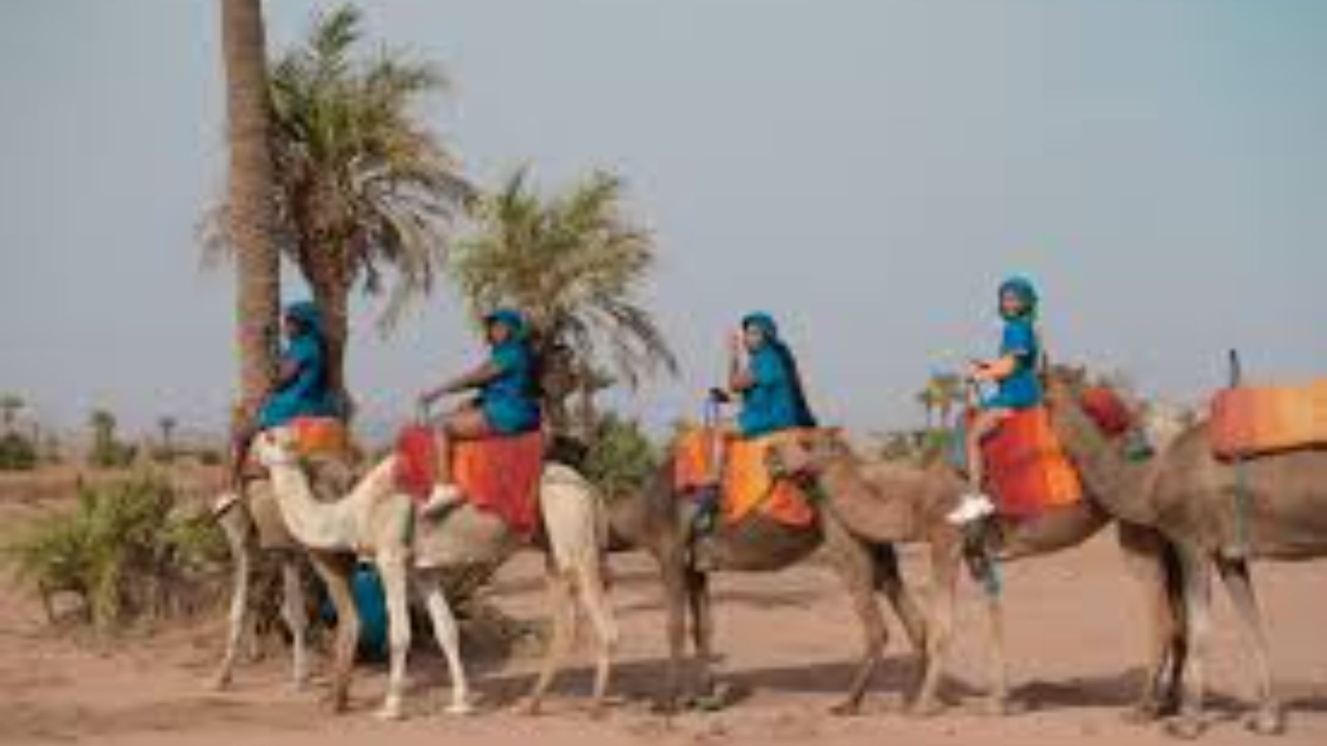 camel ride