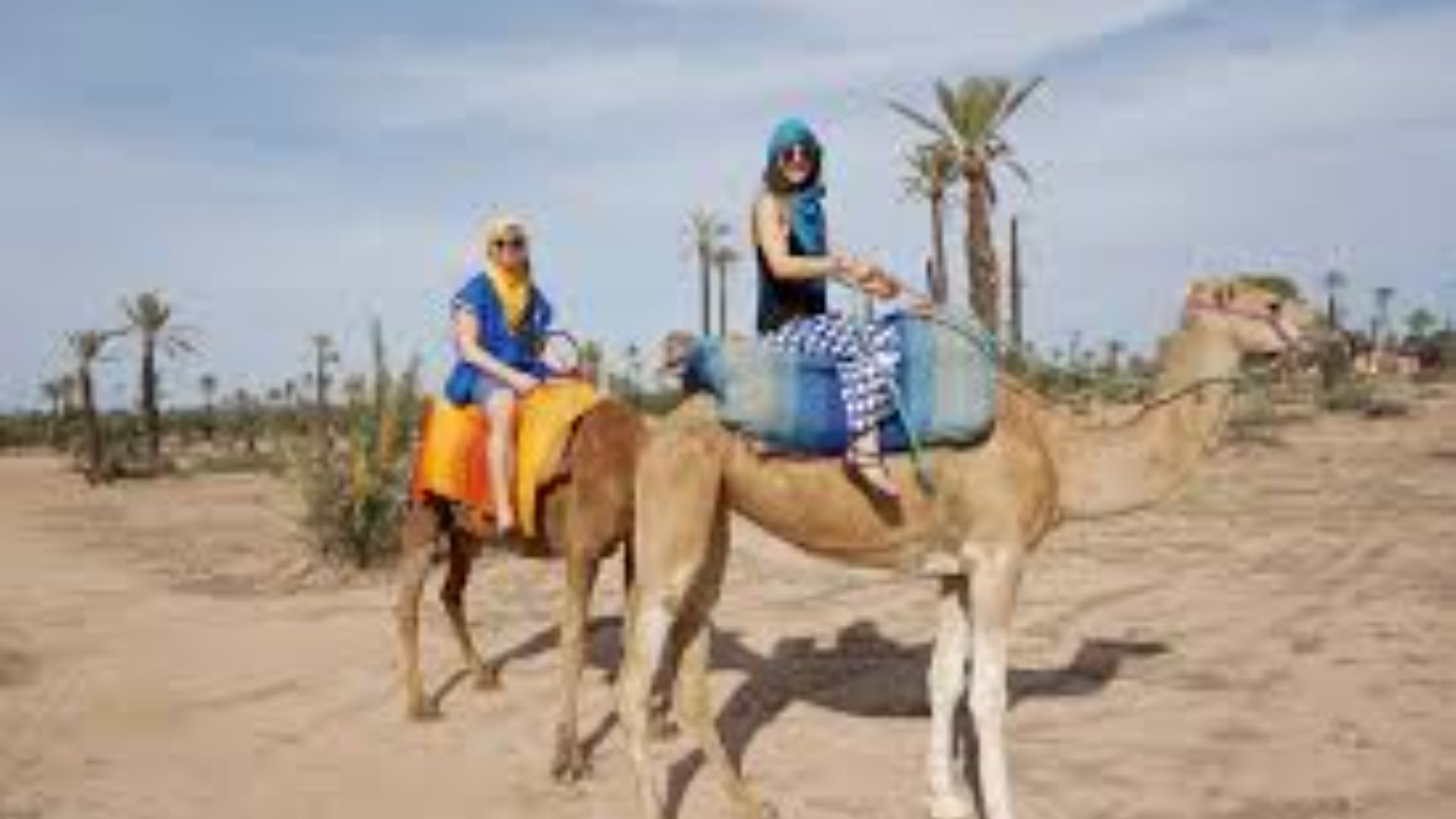 camel ride marrakech