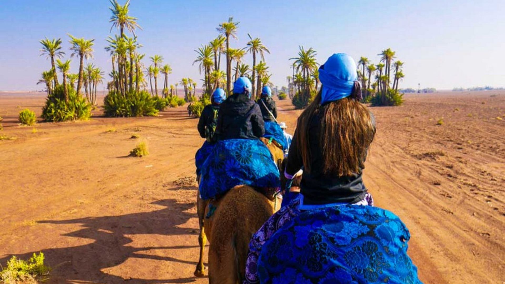 palmeraie camel ride