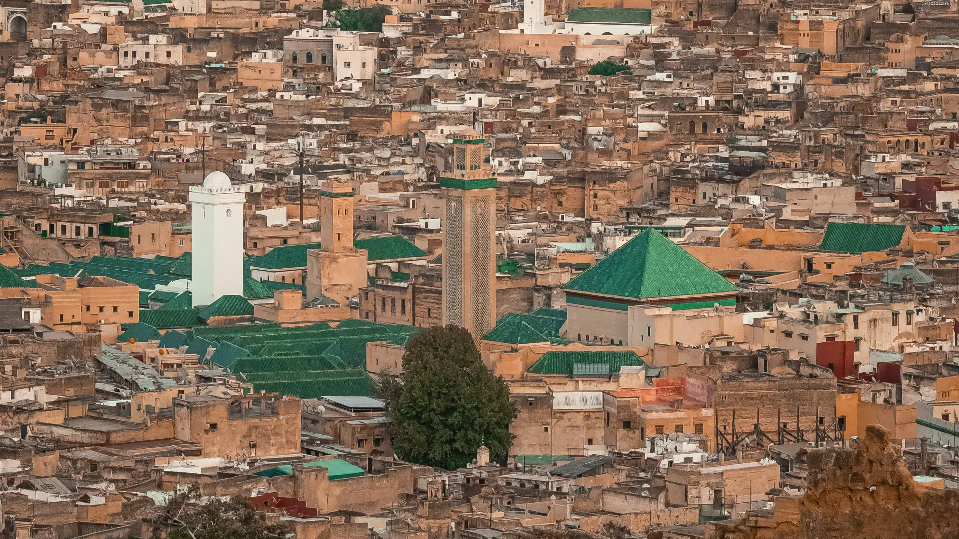 fez