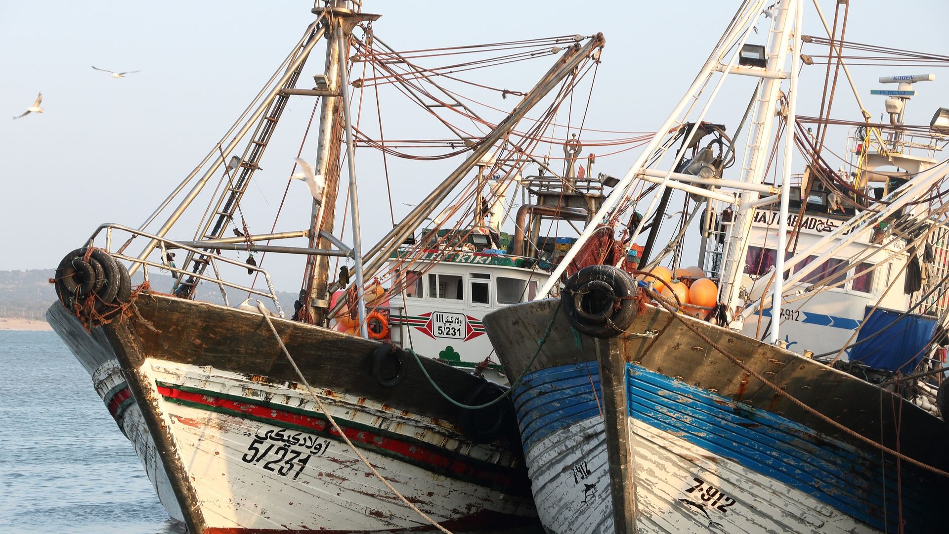 essaoura ship