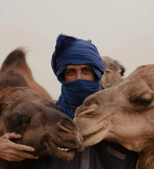 camel ride marrakech