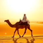 agafay desert camel ride