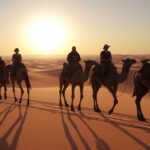 ride camel