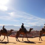 marrakech camel trips