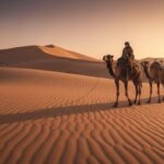 Camel trek Morocco desert