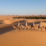 Morocco desert excursion